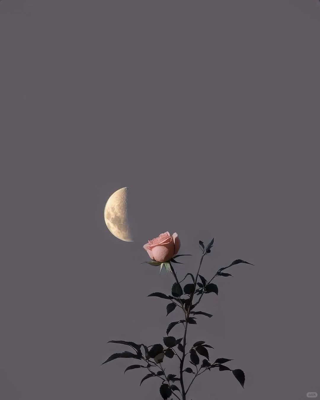 ✨审美积累|交换一张属于你的蓝调故事如何