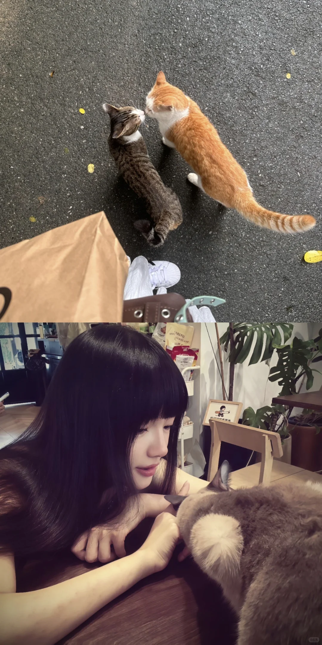太喜欢这期壁纸了