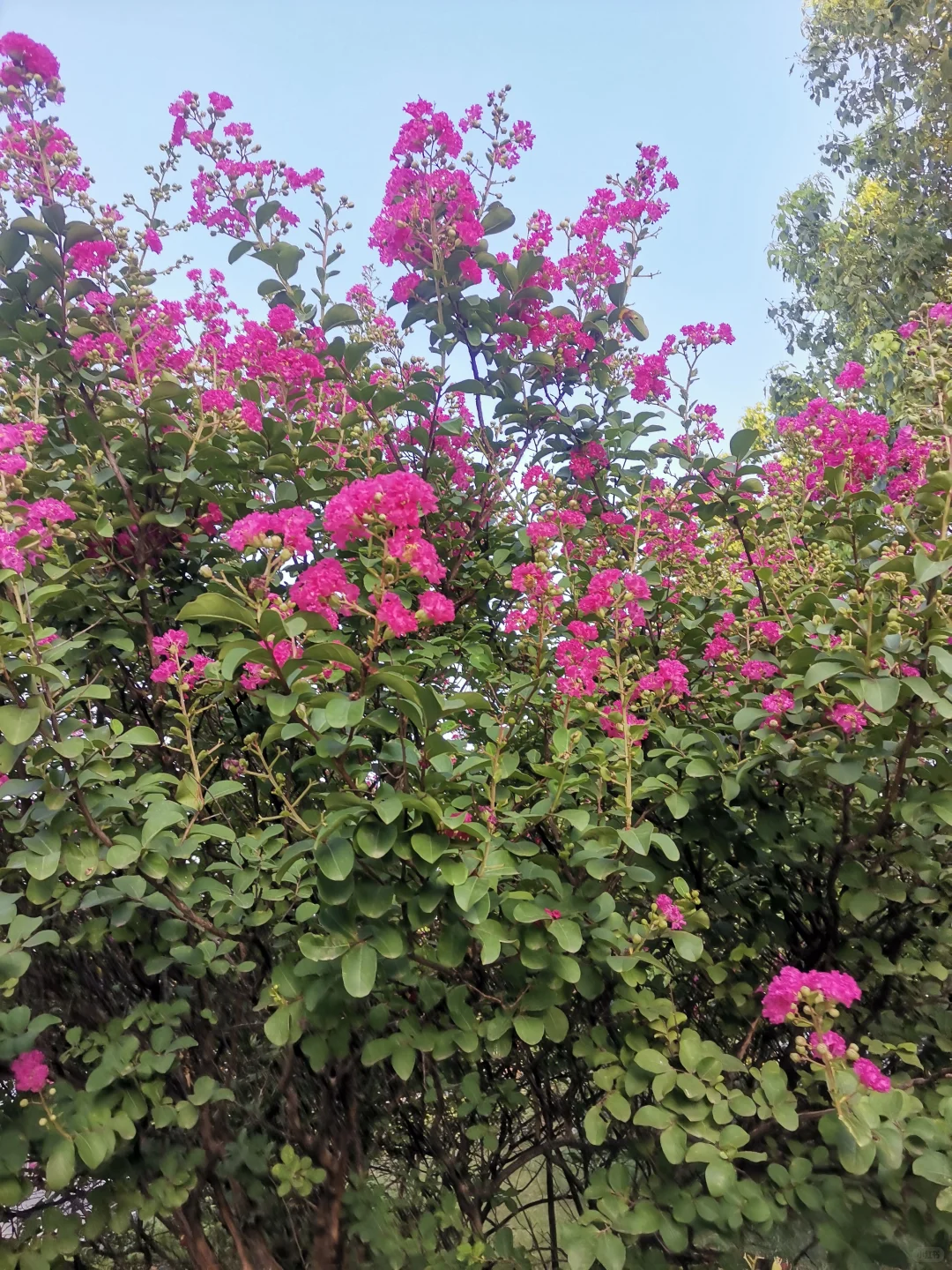 50岁的我，还能算风韵犹存嘛？