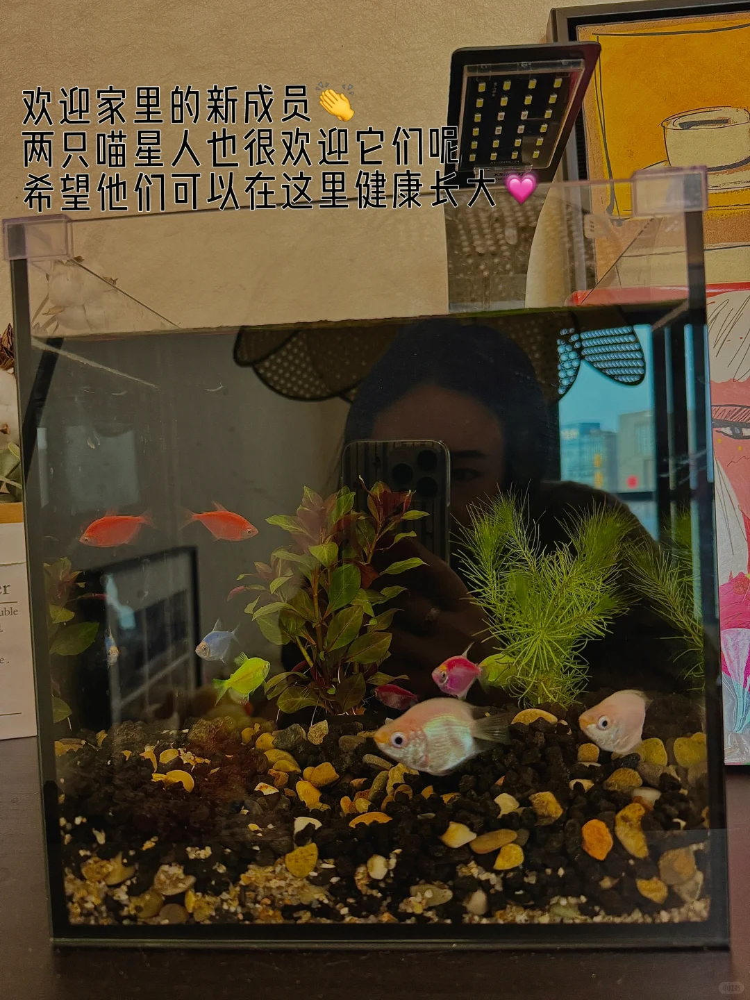 30+｜慌什么，才三十多而已