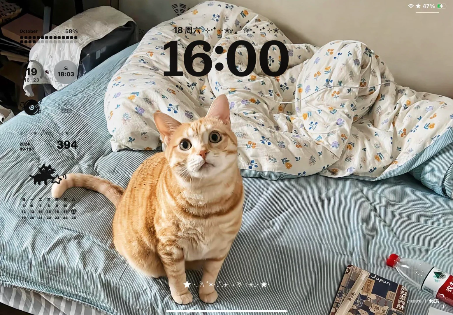 ins风ipad壁纸^•͈༝•^ฅ