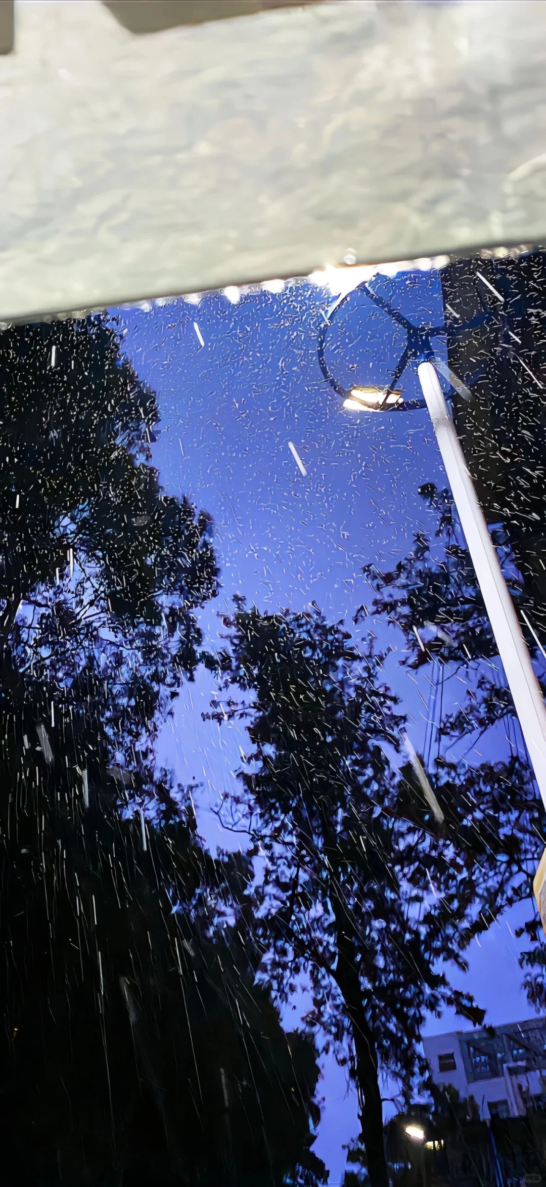 氛围感壁纸-爱像是一场小雨