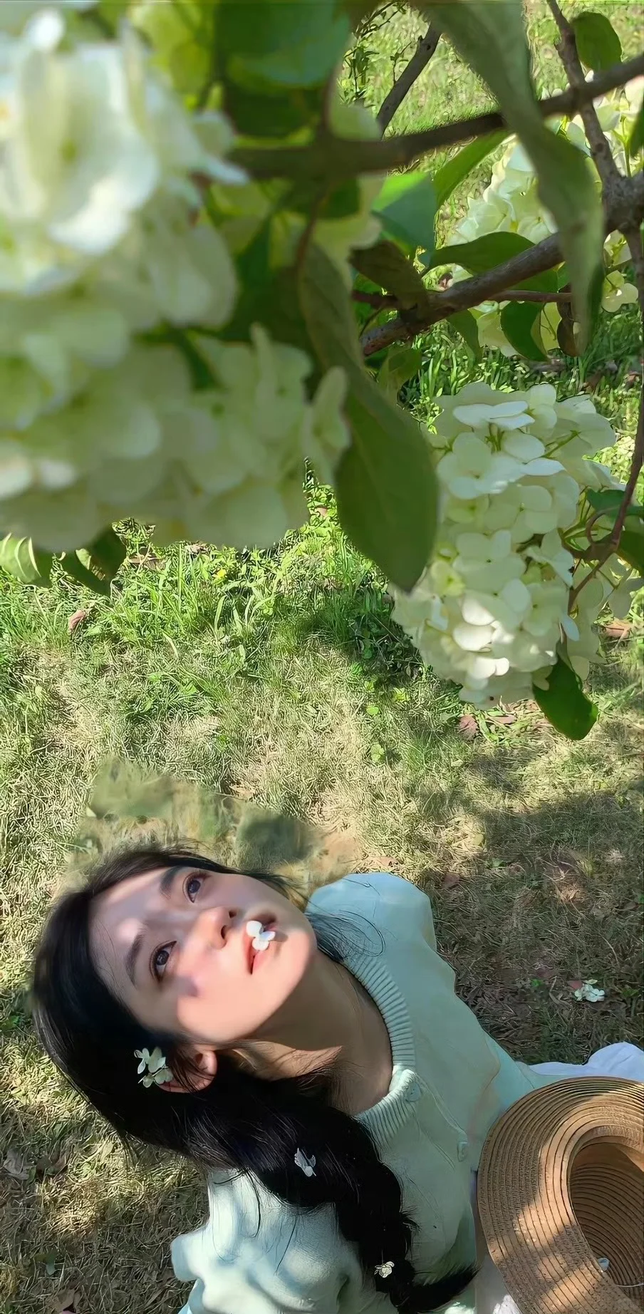 壁纸｜这些小众壁纸，绝对让你与众不同！