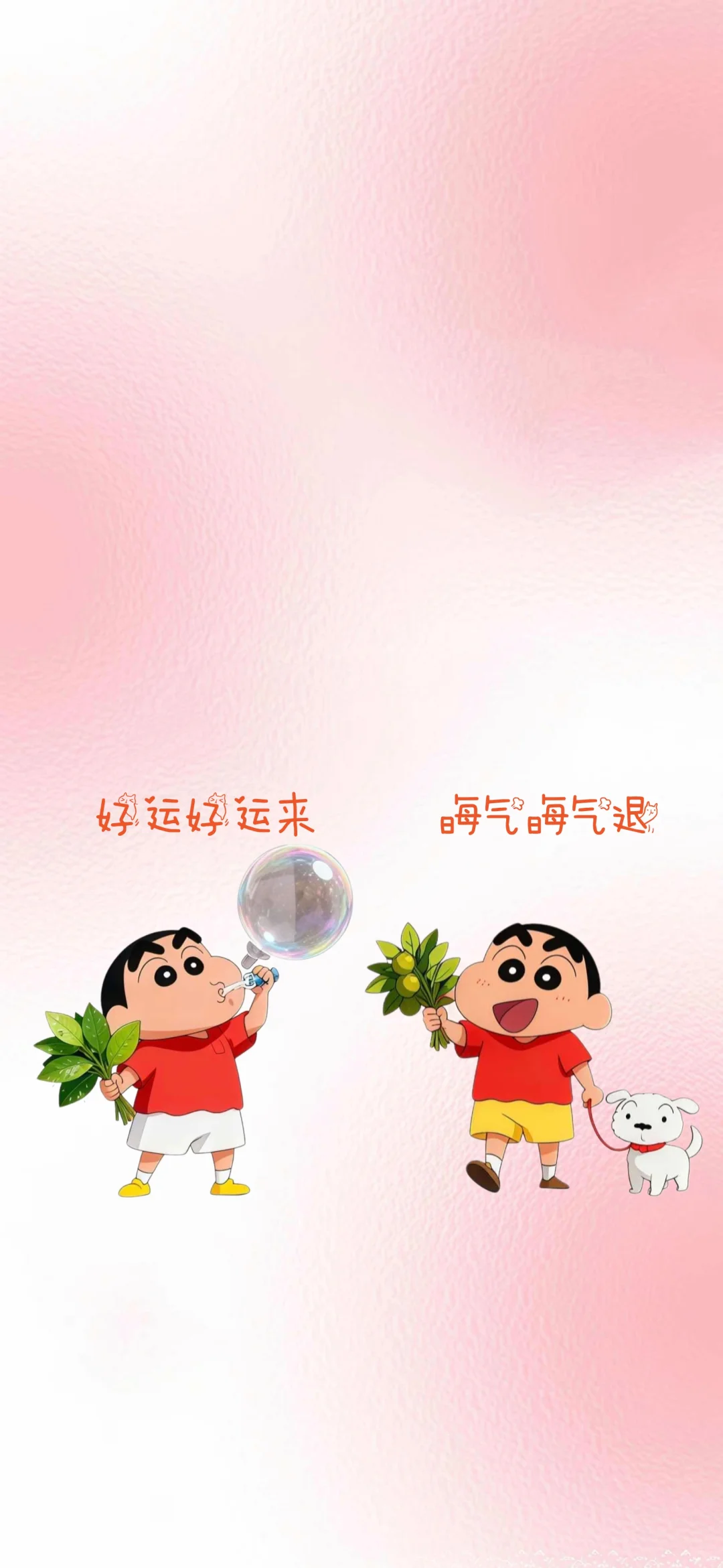 去晦气,好运来,超好看的柚子叶壁纸