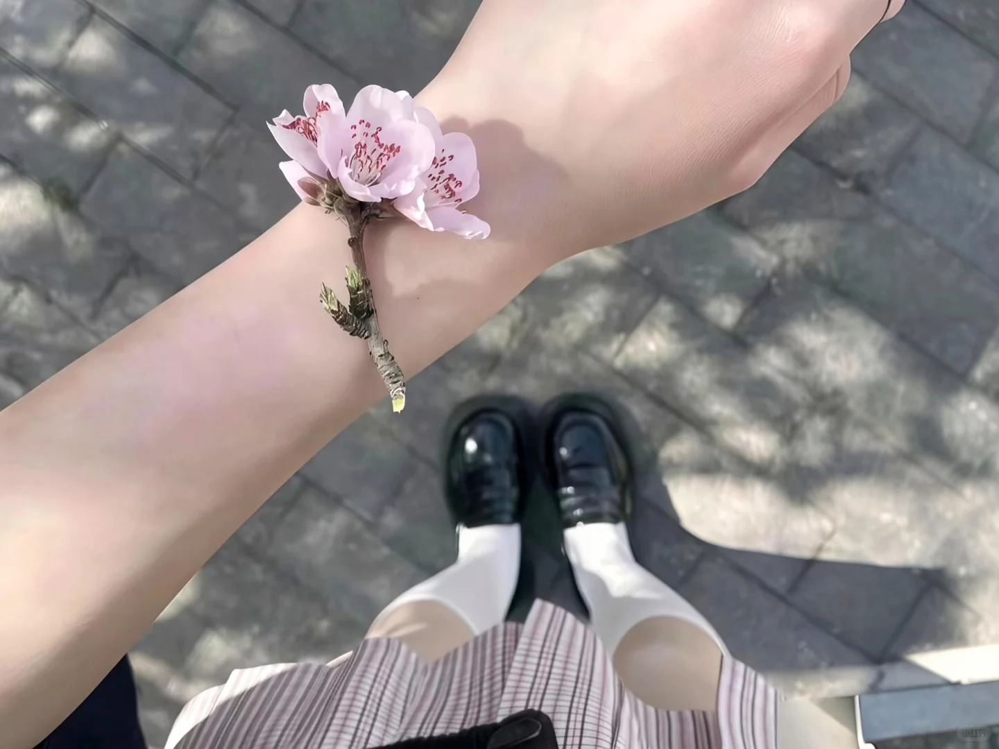iPad·电脑壁纸|🍃樱花树下站谁都美