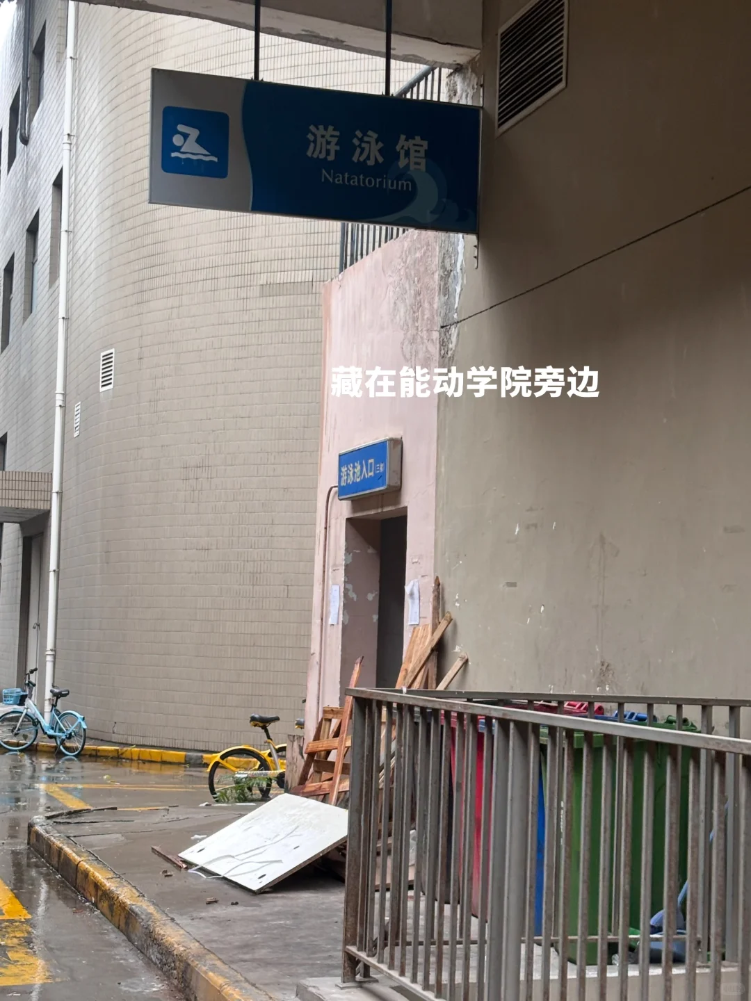西交研1️⃣|校内游泳馆我爱你