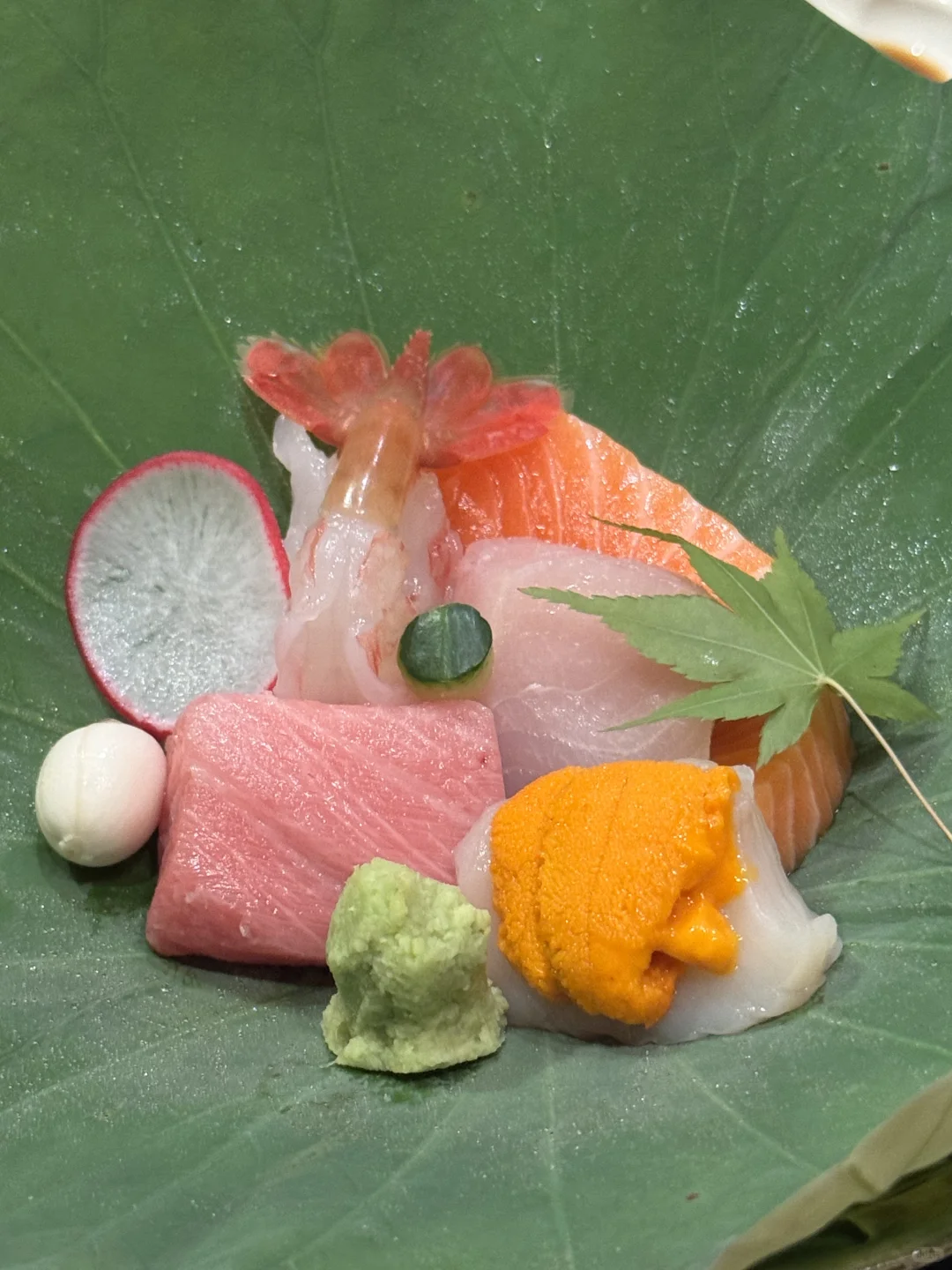 ☆*. 🩵🐚🪥𓇼 𓈒