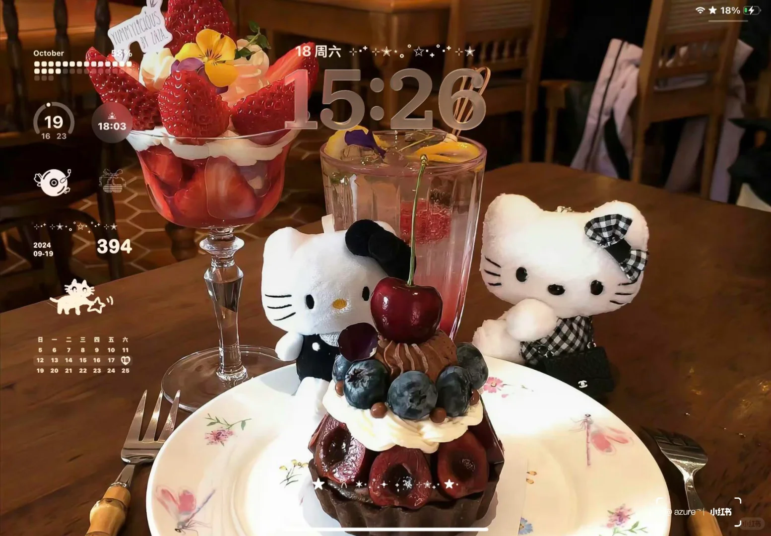 ins风ipad壁纸^•͈༝•^ฅ