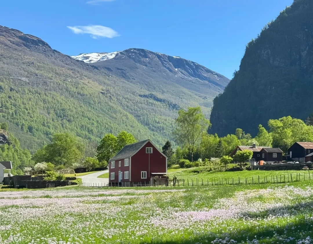 🌟一张🏡助力➕人际的风景壁纸