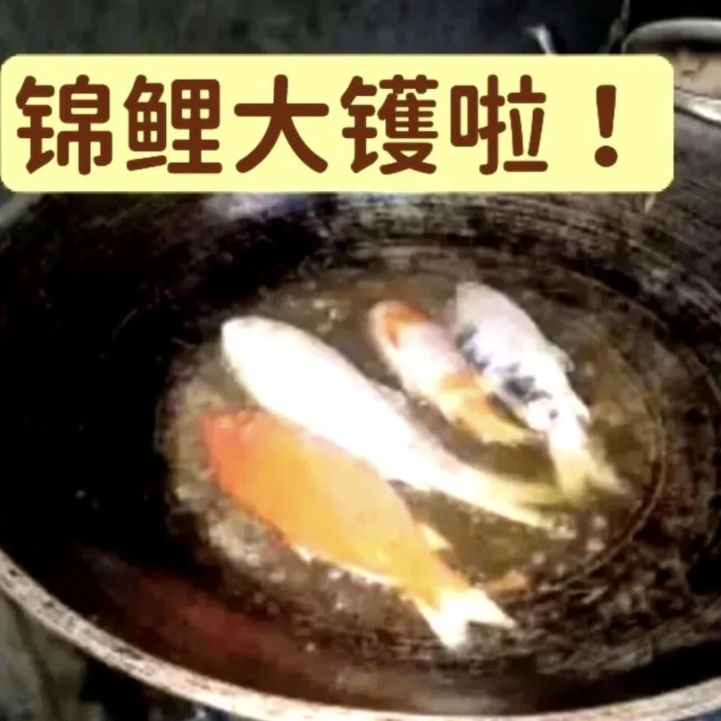 粤语打工人抽象表情包!