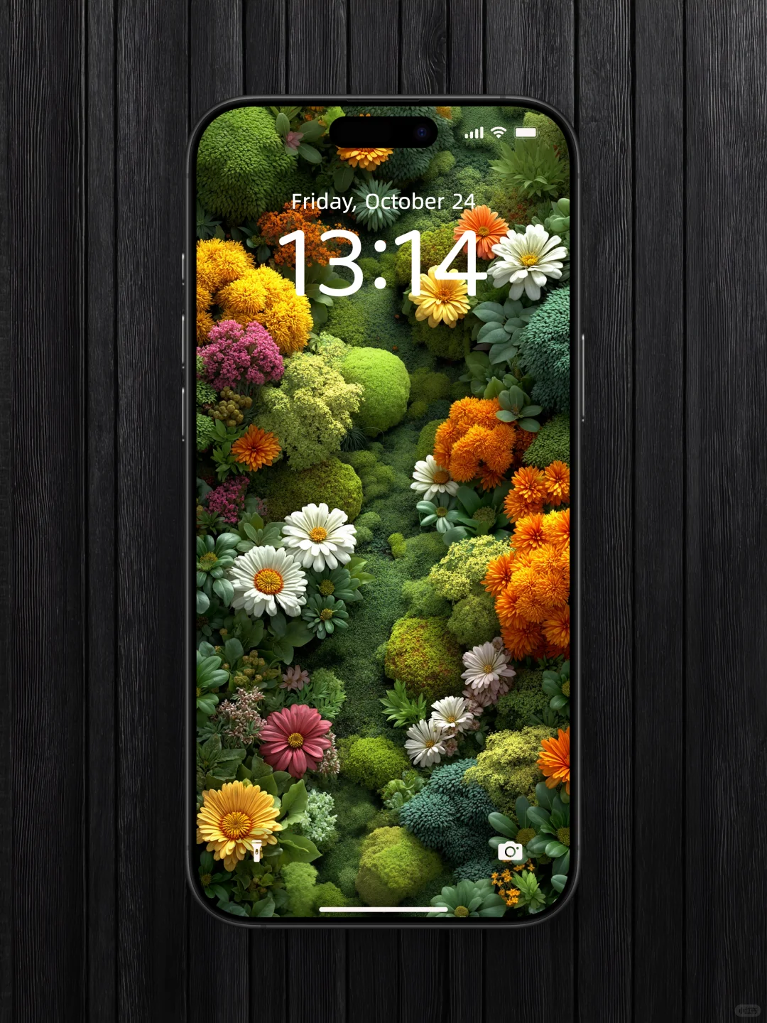 这是谁家的小花园啊|绿植花海治愈系壁纸