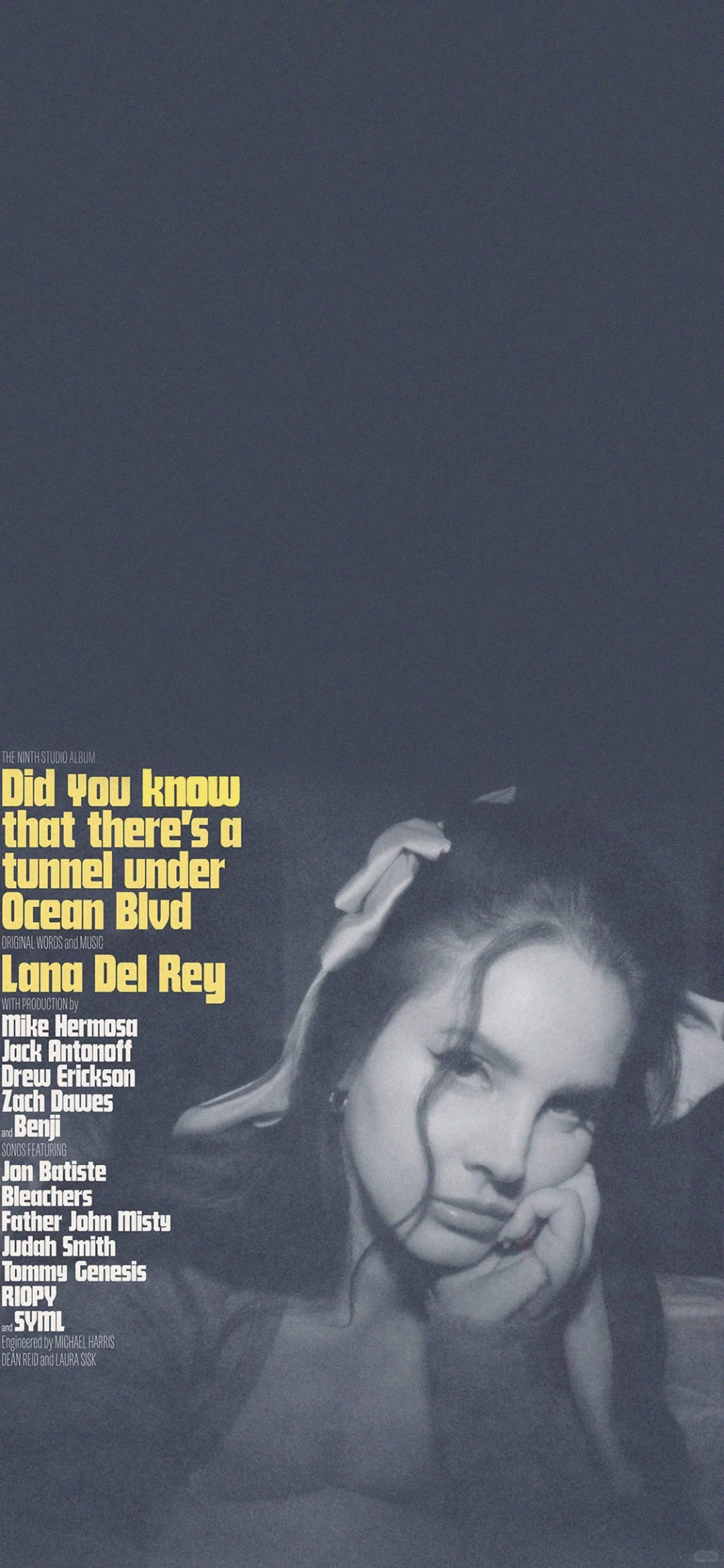 Lana Del Rey壁纸分享