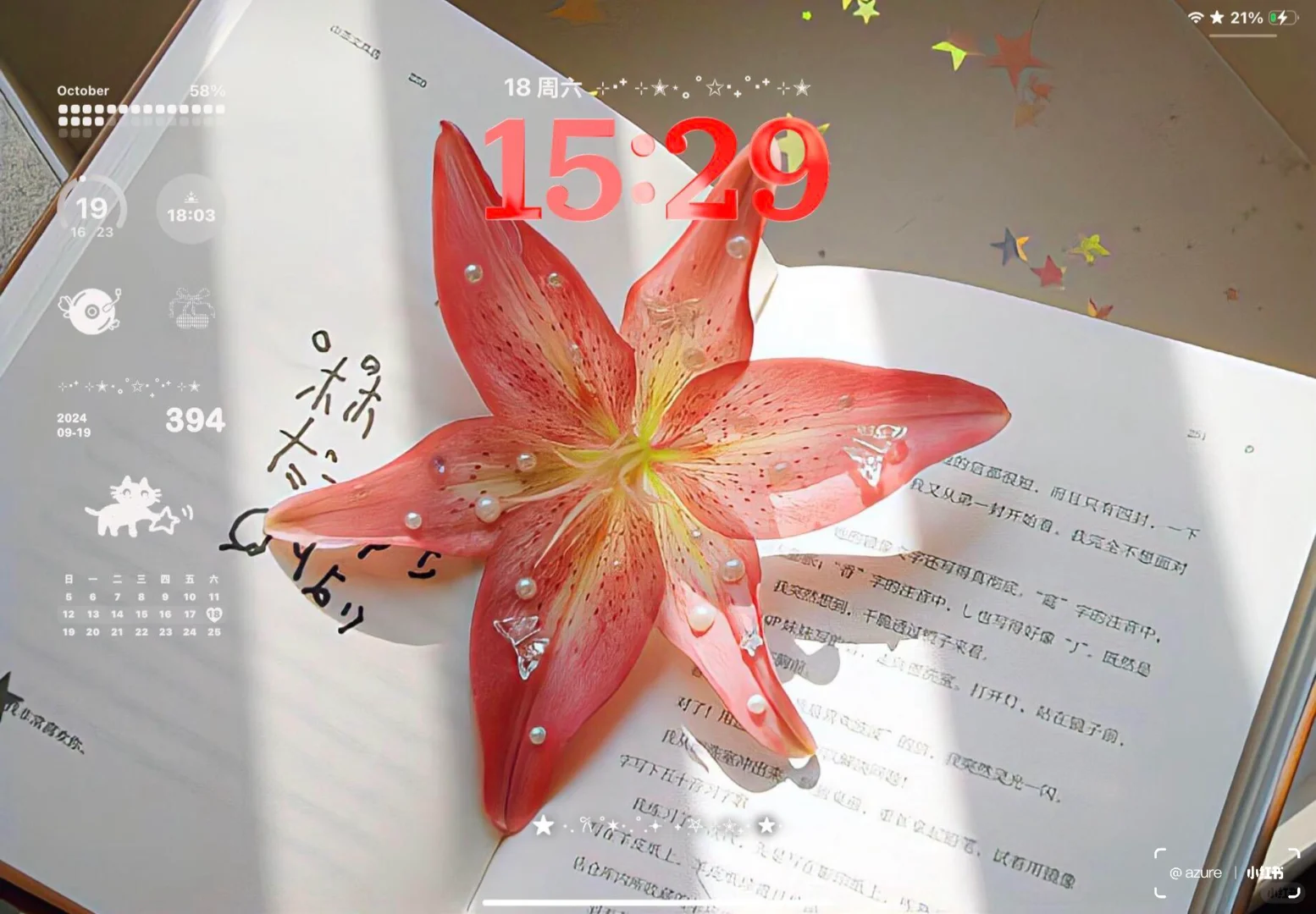 ins风ipad壁纸^•͈༝•^ฅ