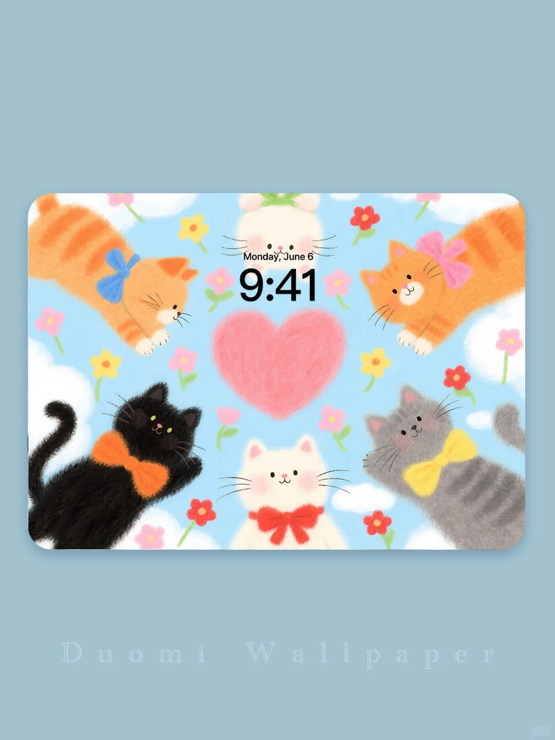 一波可爱的猫咪来袭~
