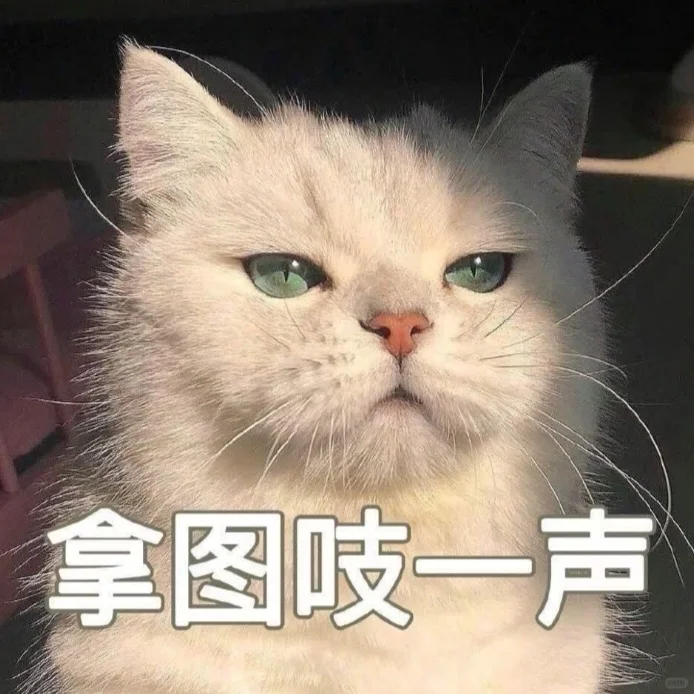 ☞蓝色ins高级小众壁纸.
