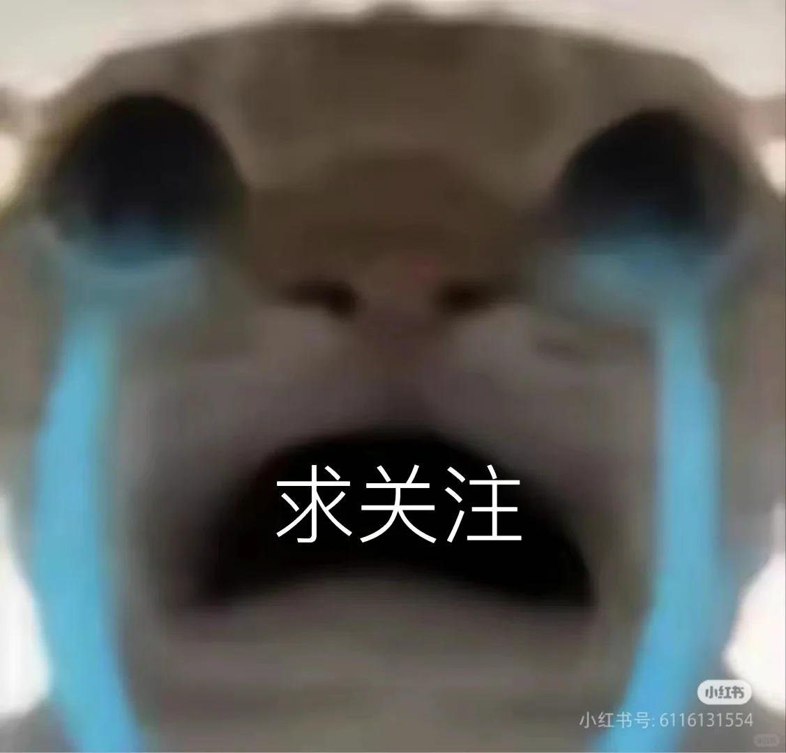 老鼠图片(喜欢可拿)