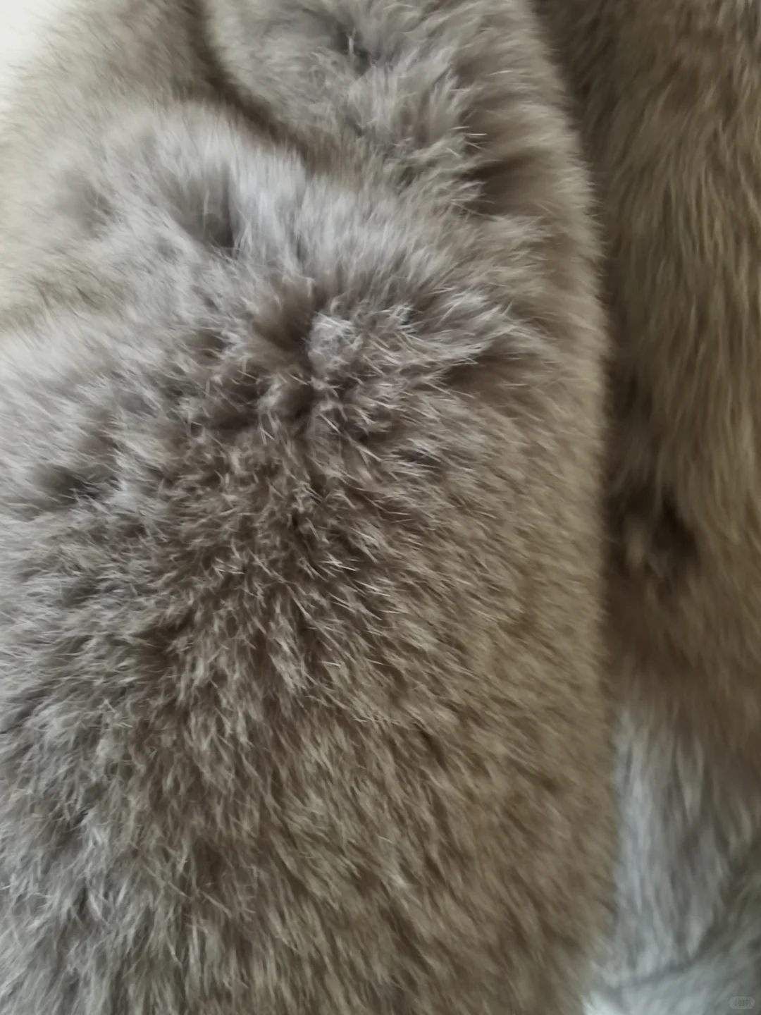 我的雪狐女神皮草到啦