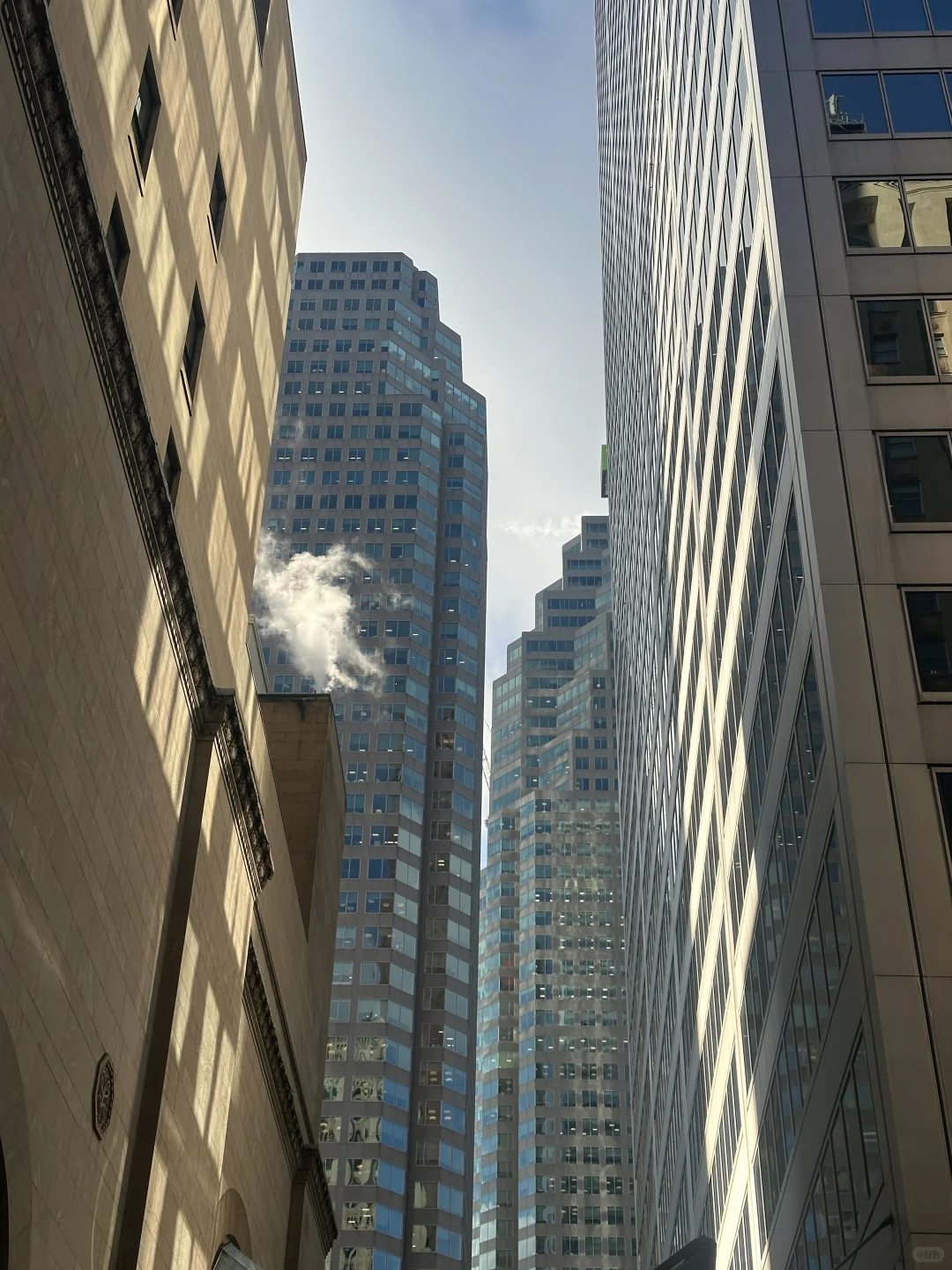 🇨🇦多伦多美少女集邮中,我成了时间管理师