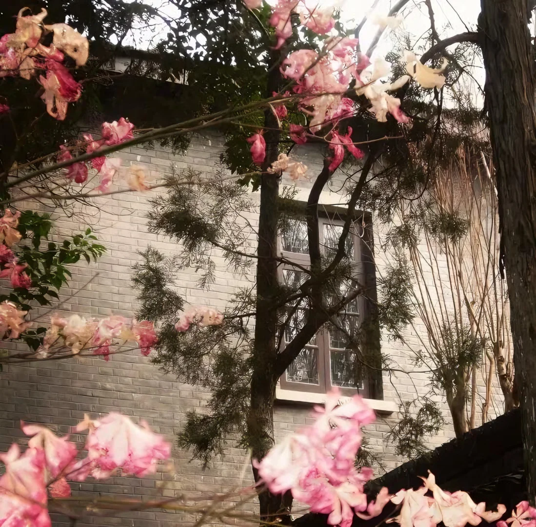 一组高级质感朋友圈背景图