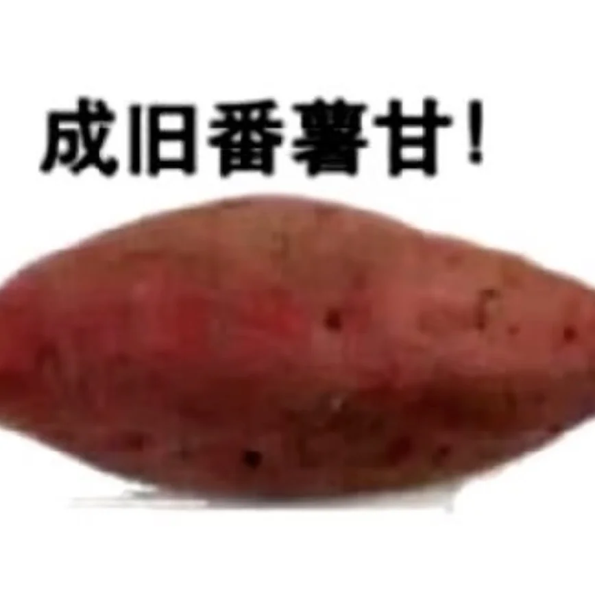 粤语打工人抽象表情包!