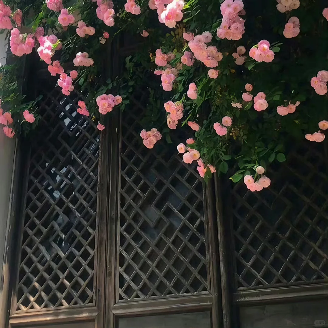 一组高级质感朋友圈背景图