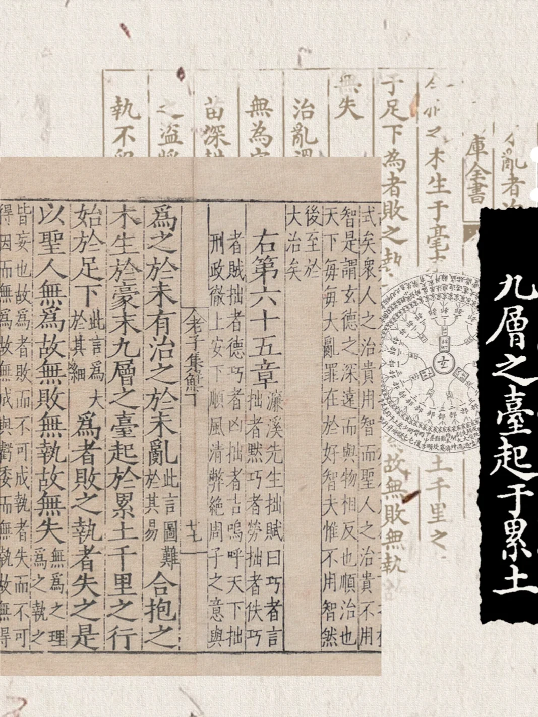 合抱之木 生于毫末|道系电脑壁纸