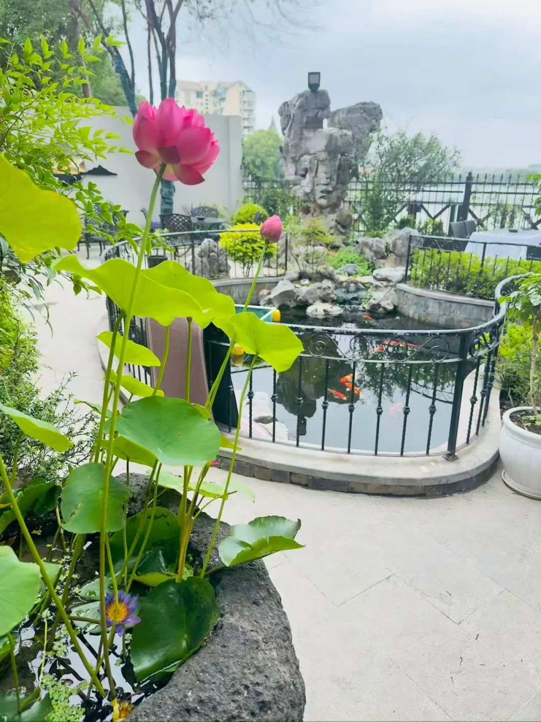 南京私房菜和火锅店招聘