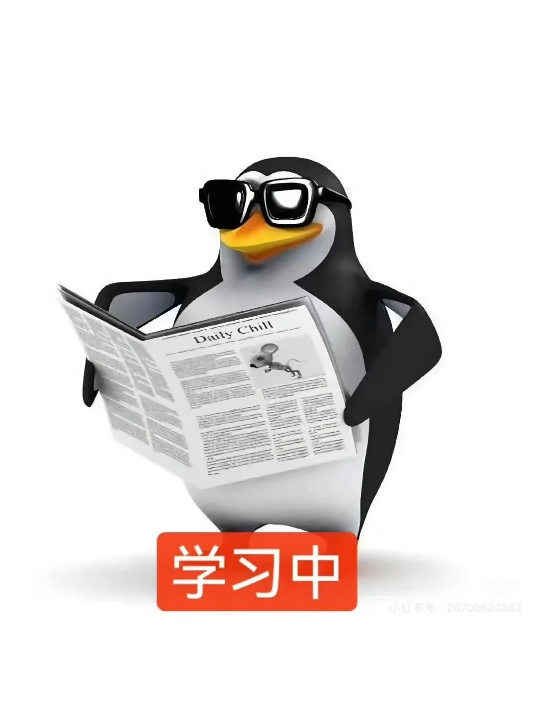 做个讲文明有素质高智商的企鹅🐧