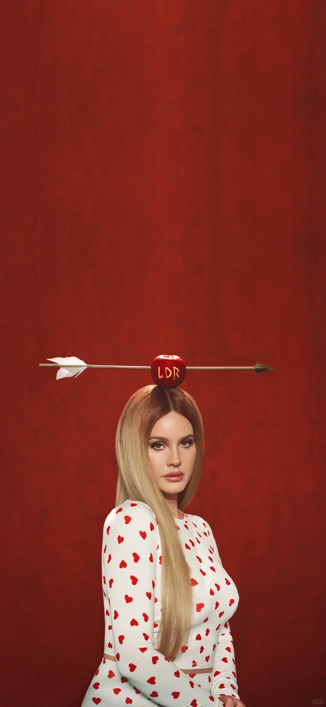 Lana Del Rey壁纸分享