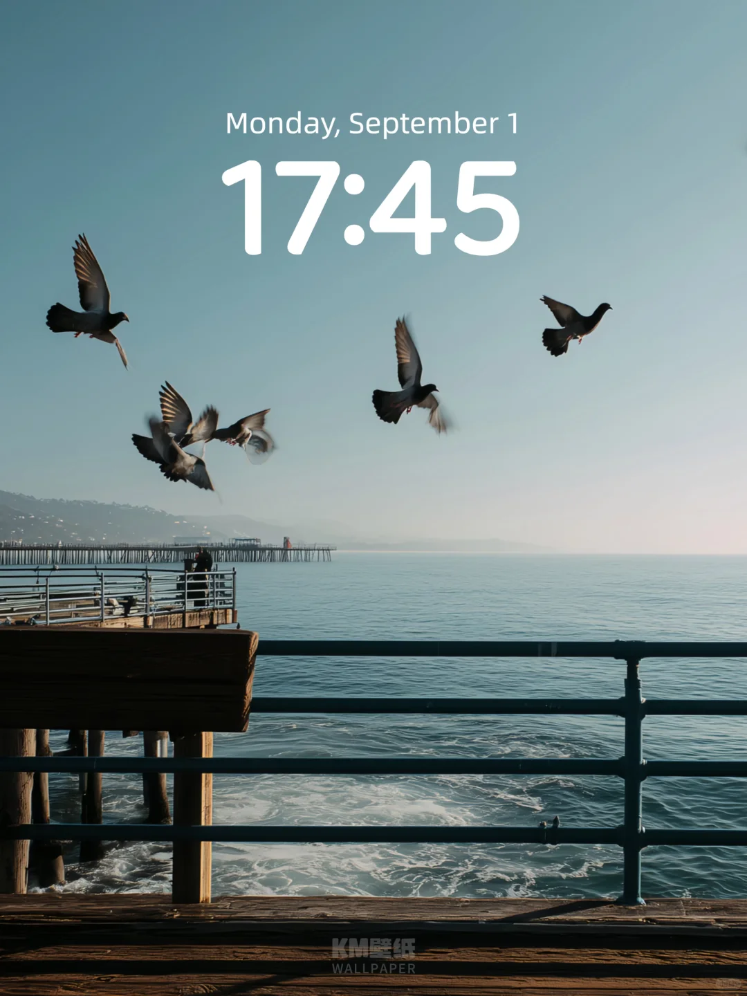 179|高级氛围感壁纸|蓝海鸽影