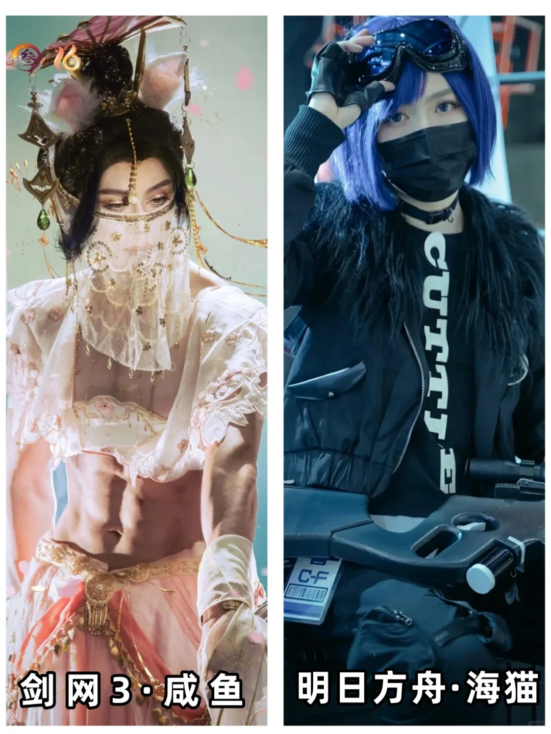 决战香艳制作人之巅