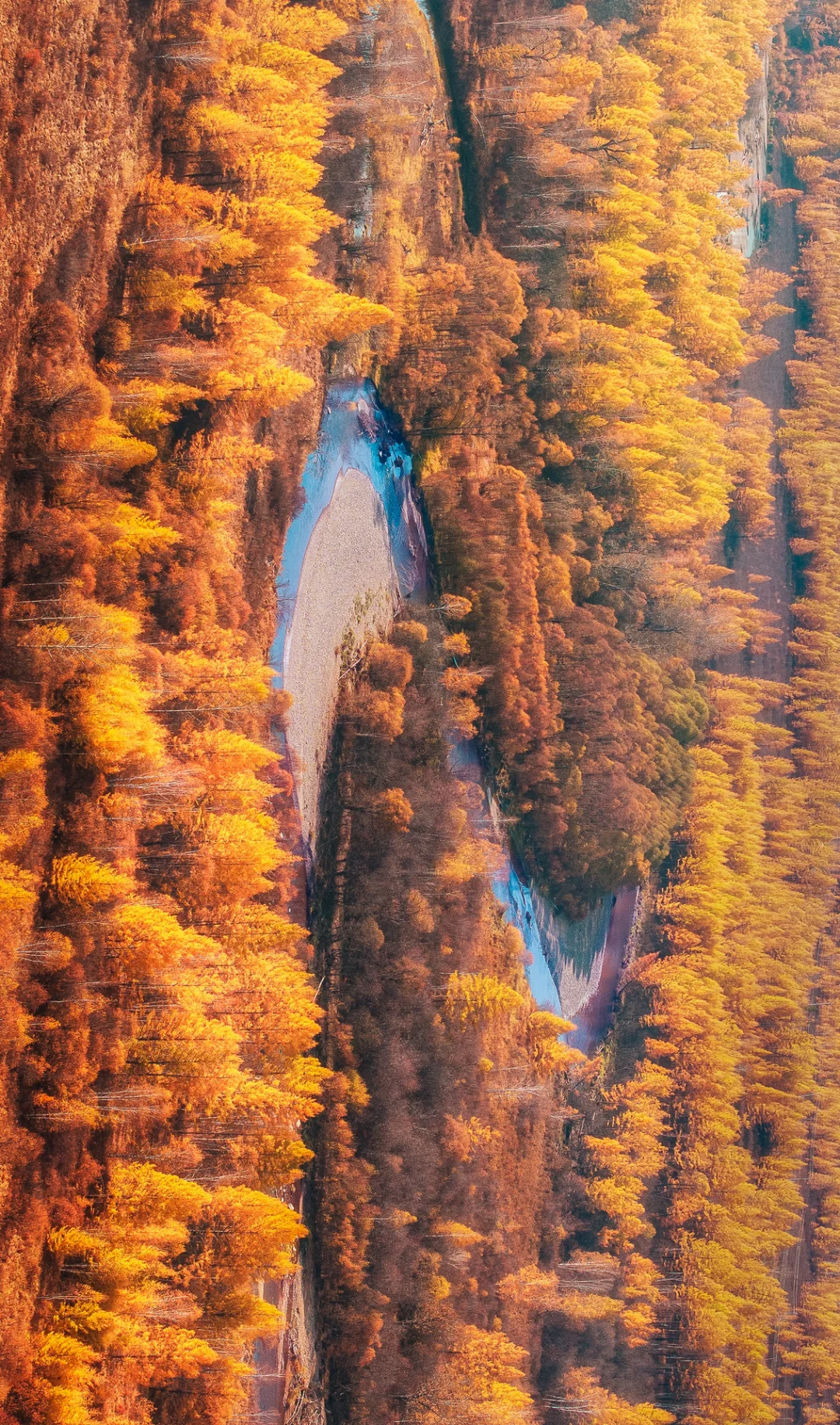 十二张全屏大兴安岭绝色秋日!附路线!!