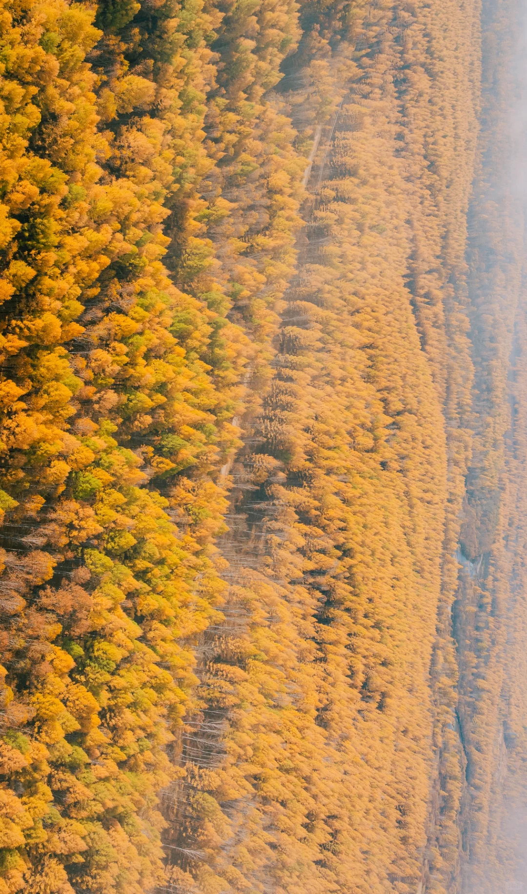 十二张全屏大兴安岭绝色秋日!附路线!!