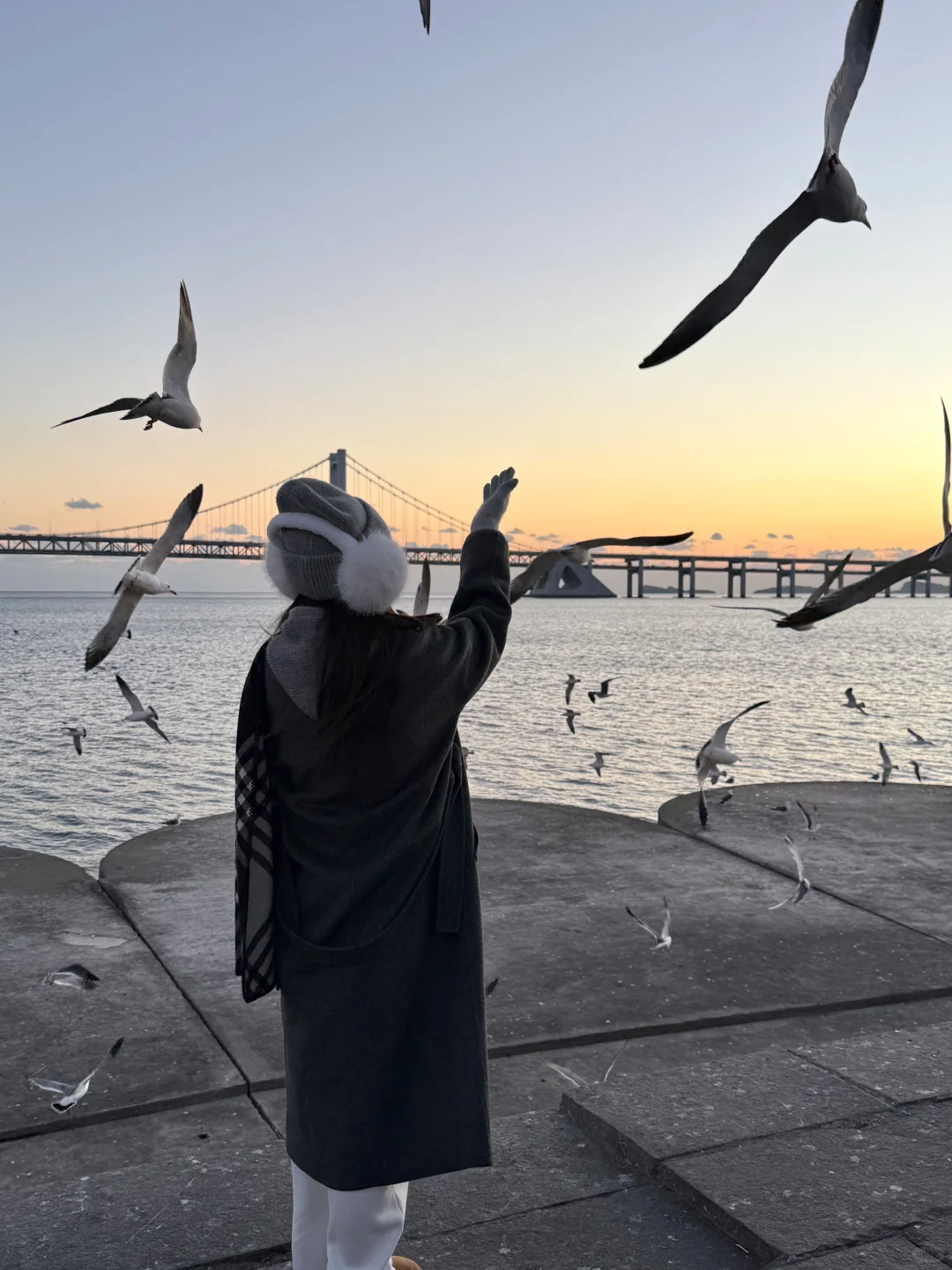 总要在冬天来趟大连吧🌨(Live版)