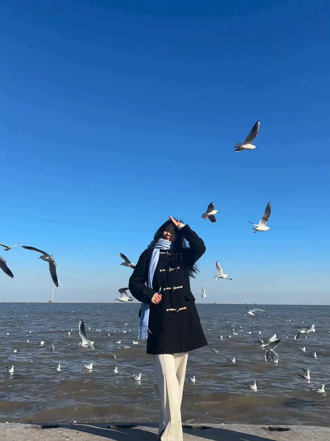 天津·东疆亲海公园🌊一起去码头整点薯条