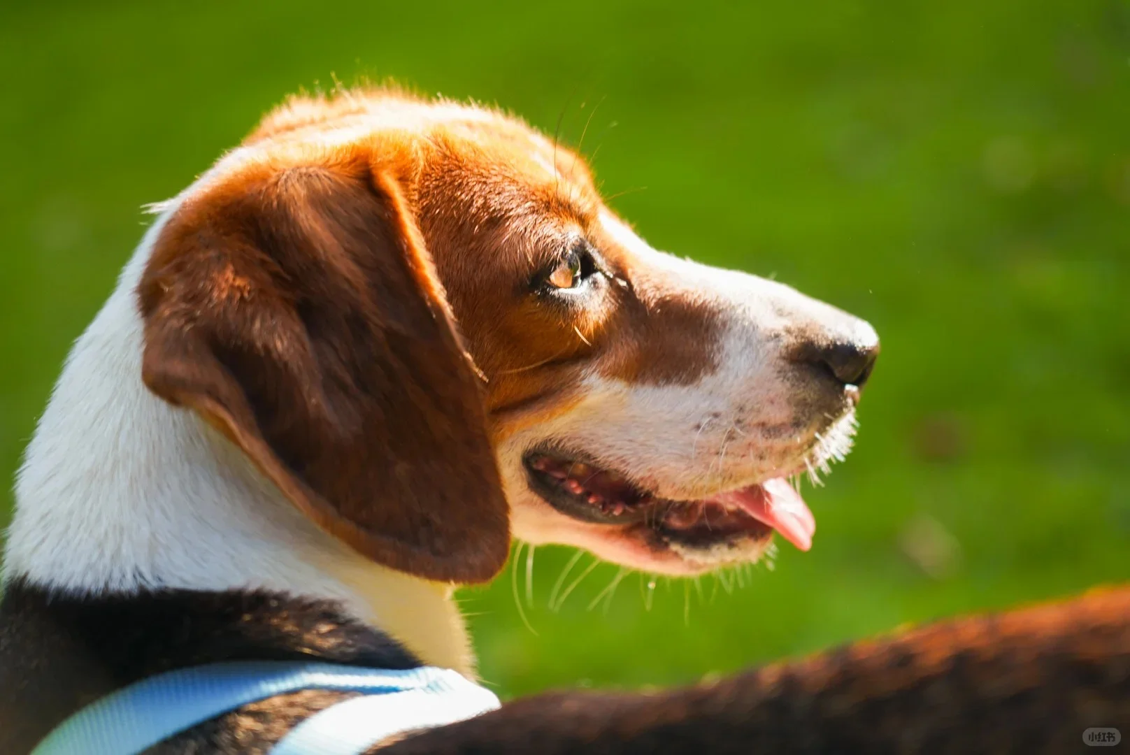 跟闺蜜南京旅游 晚上她问我要不要找鸭…