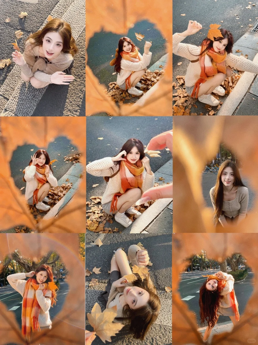 秋冬藏在落叶里🍂枫叶银杏拍照一起来🍁
