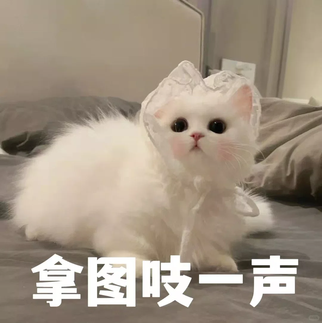 暴富壁纸~