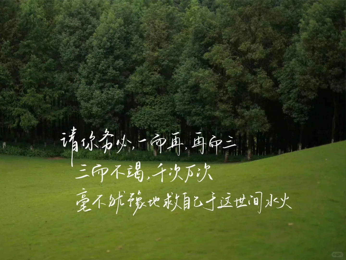 考公人专用ipad壁纸背景图⭐✨(第三弹)