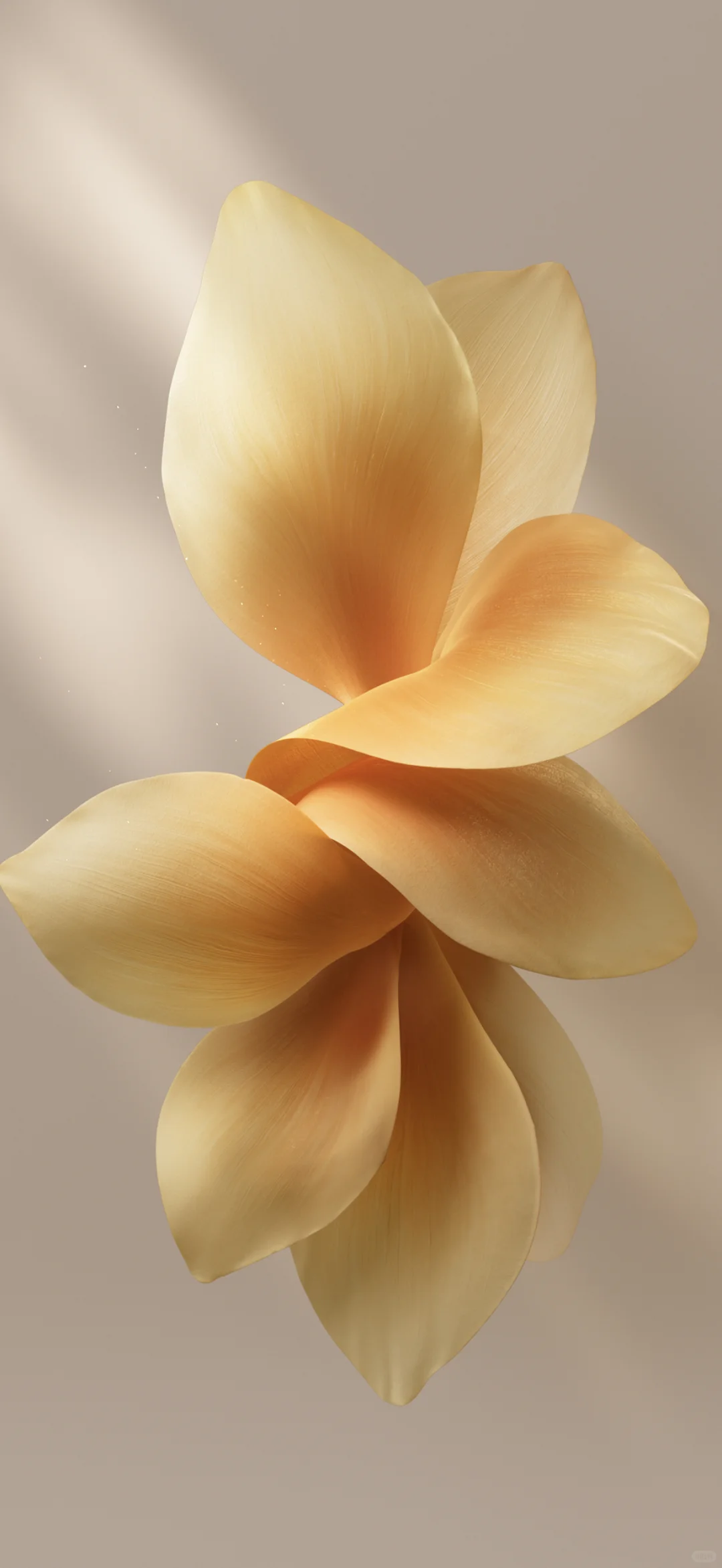 vivo壁纸 originos6