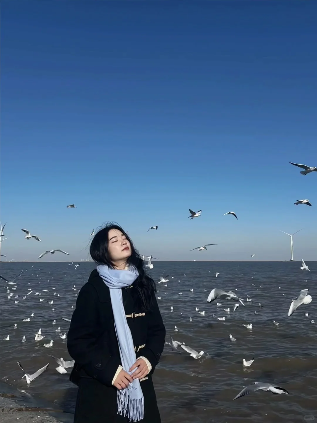 天津·东疆亲海公园🌊一起去码头整点薯条