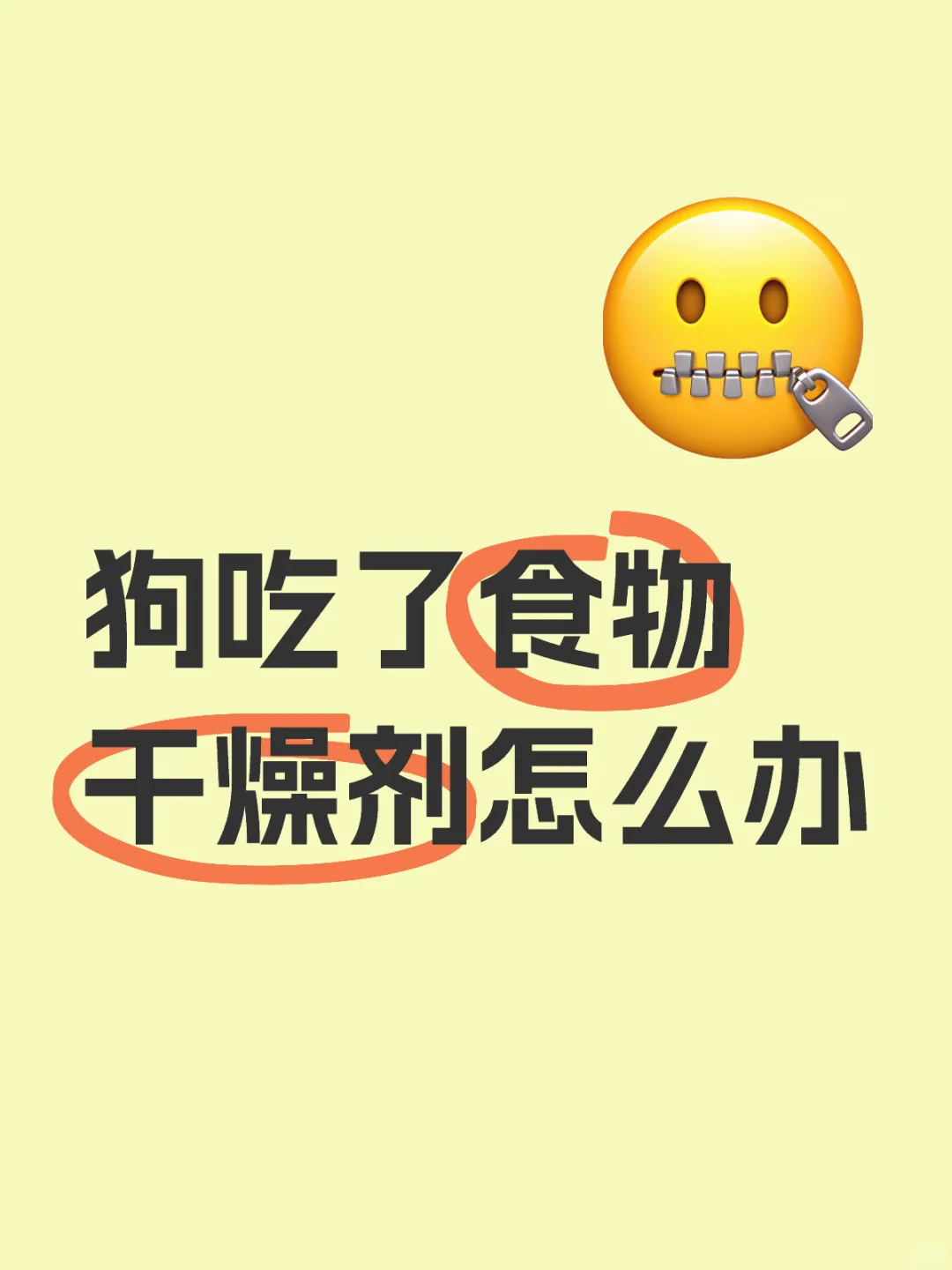 麦老师战绩可查