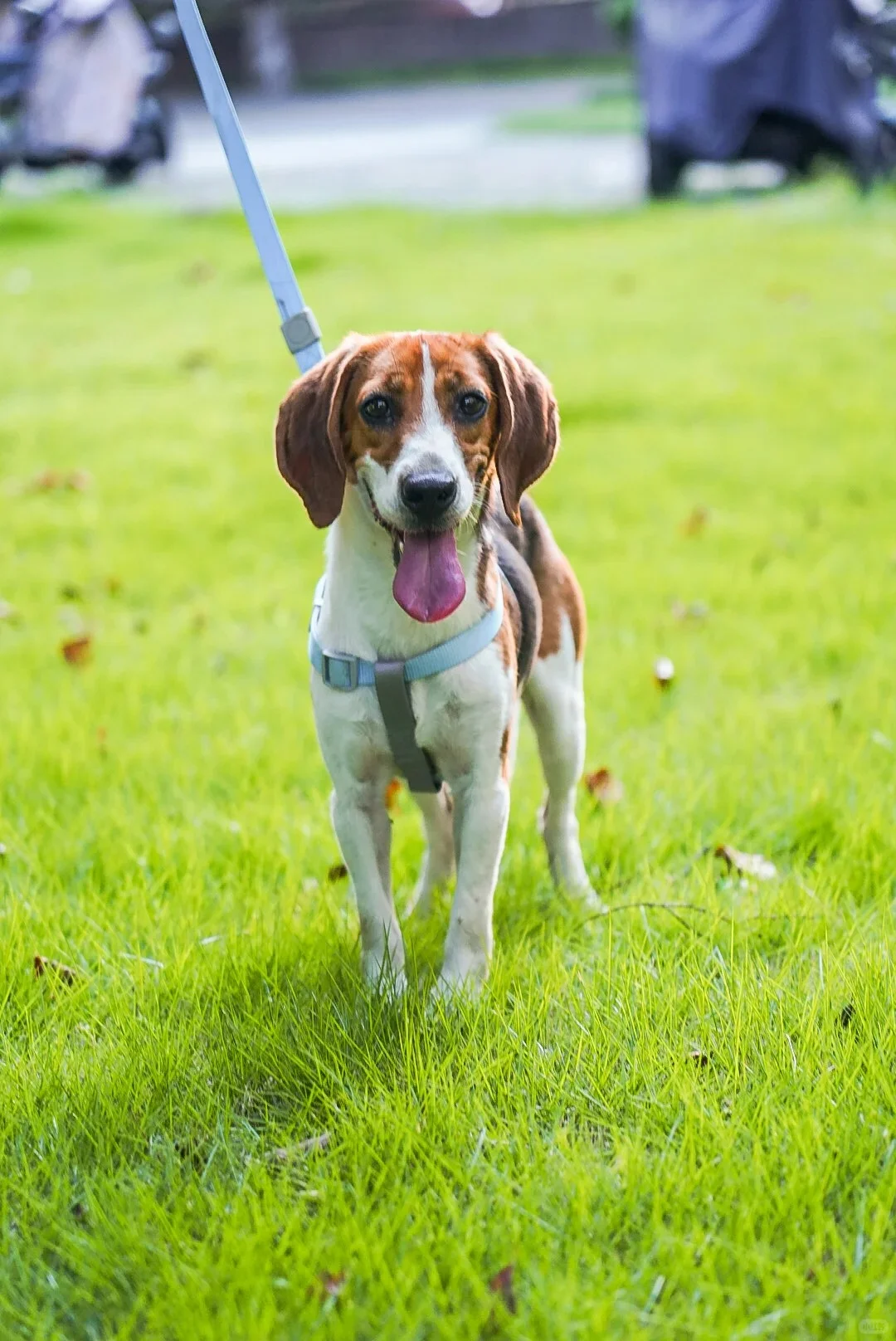 跟闺蜜南京旅游 晚上她问我要不要找鸭…