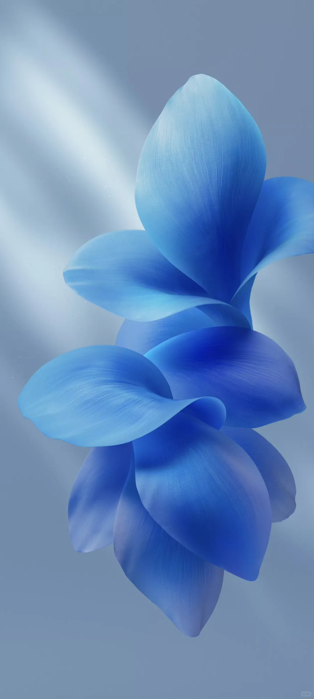 vivo壁纸 originos6