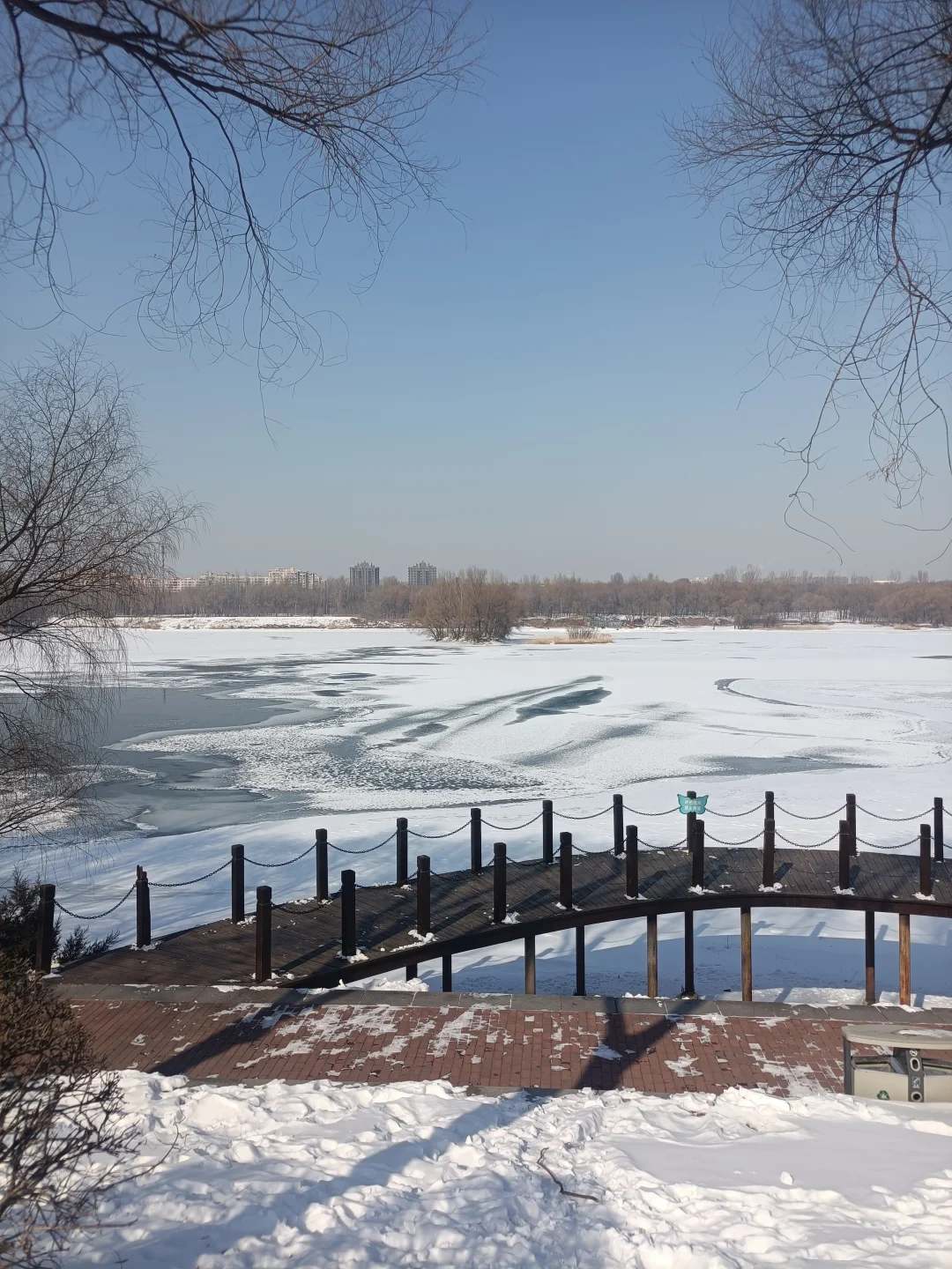 同一个地点拍照记录春夏秋冬2月10日