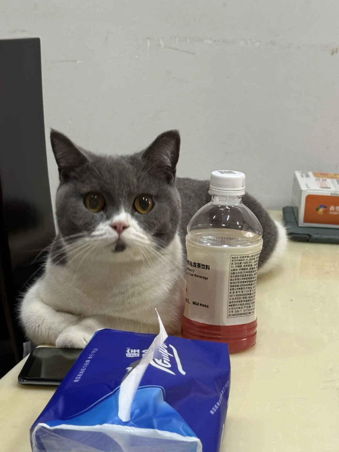 感谢你小红书!是你第一处给了我说话的机会