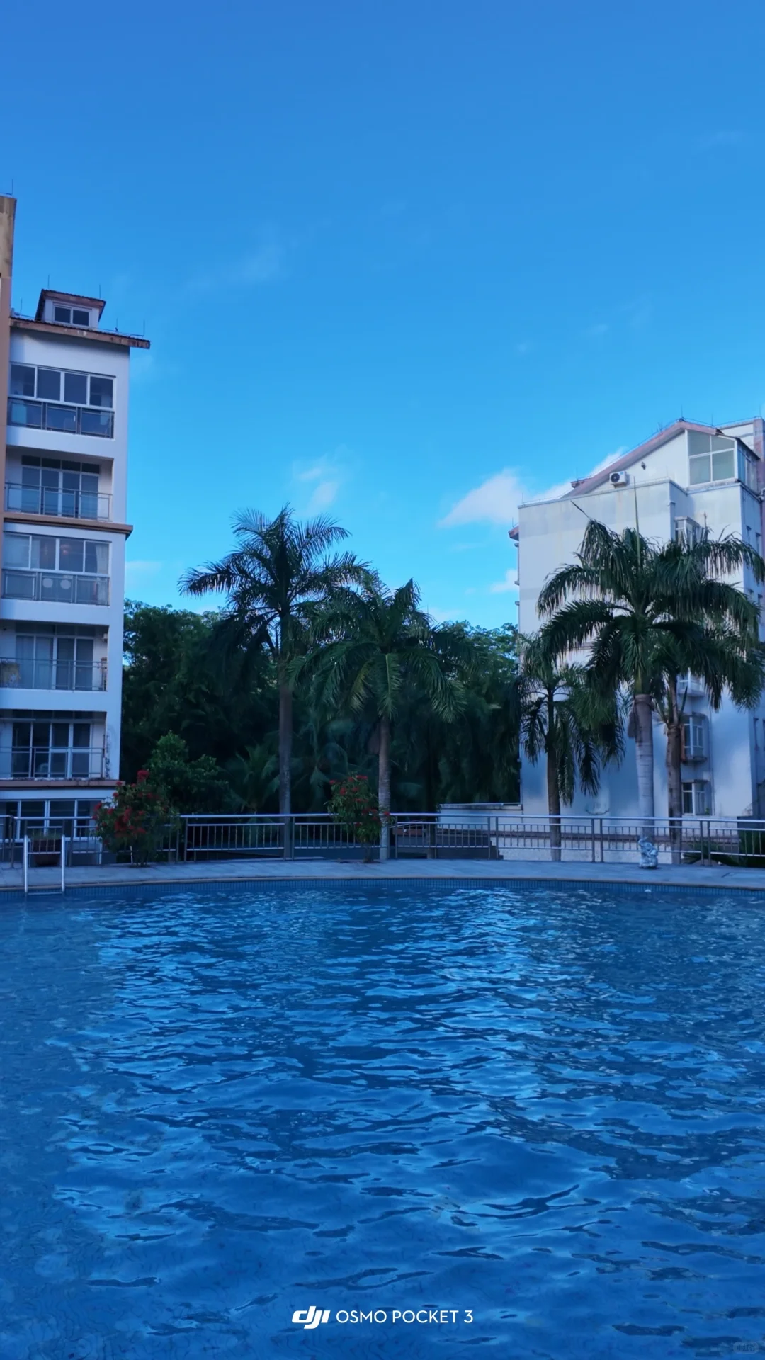 ʕ •ᴥ•ʔ🏝️是小熊软糖