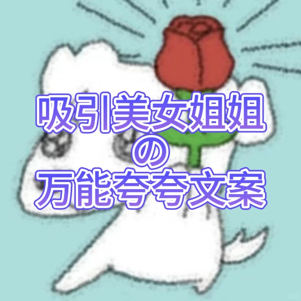 吸引美女姐姐の万能夸夸文案