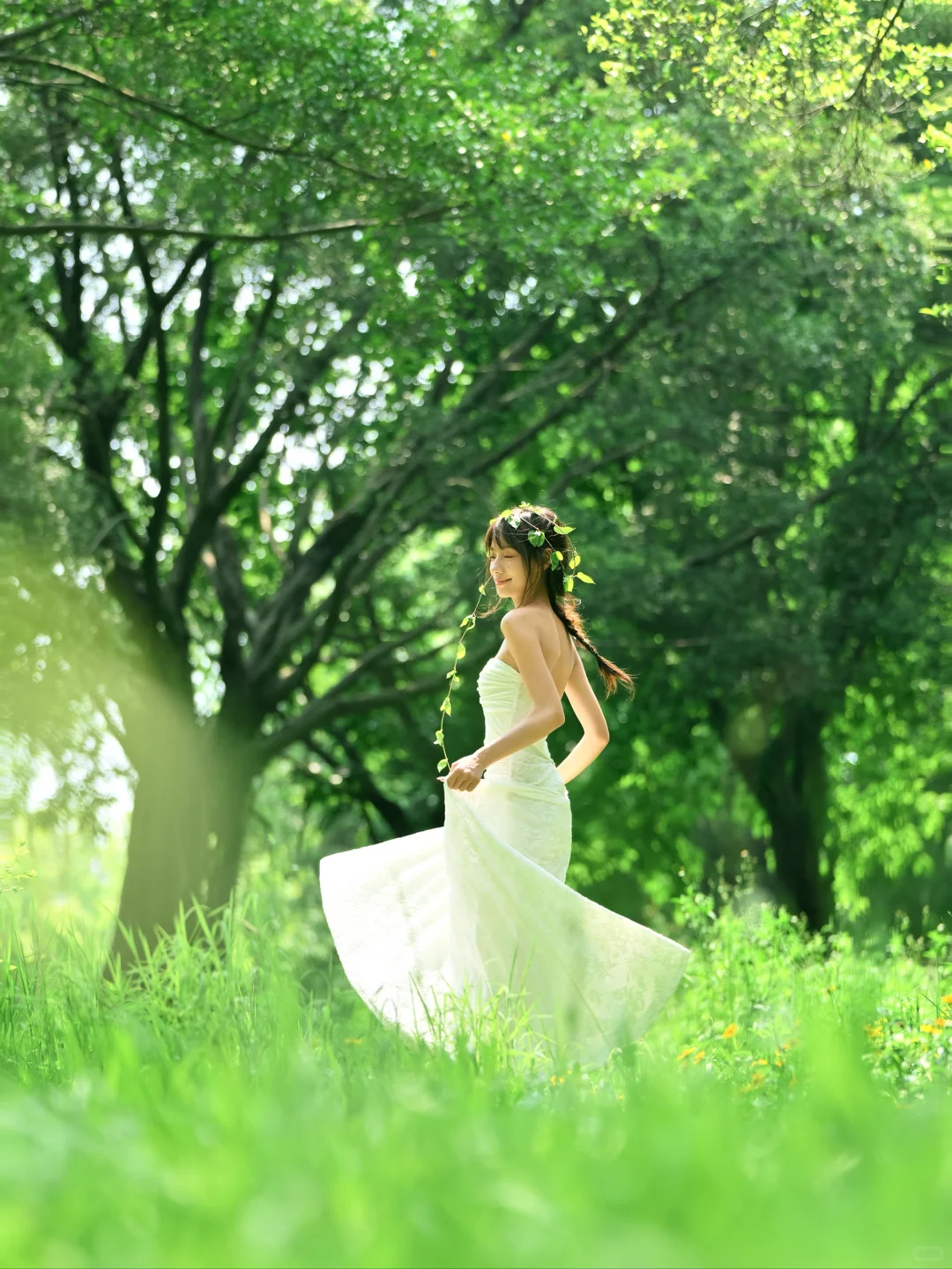 树的脉络蔓延进我🌿