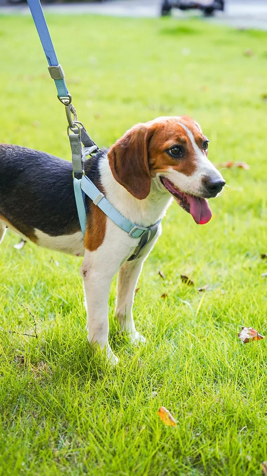 跟闺蜜南京旅游 晚上她问我要不要找鸭…